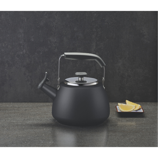 Stormy Black Stainless Steel Stovetop Kettle 